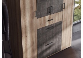 Шкаф платяной Паркинс в Талице - talica.ok-mebel.com | фото 3