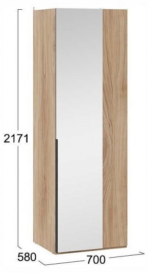 Шкаф платяной Порто СМ-393.07.007 в Талице - talica.ok-mebel.com | фото 4