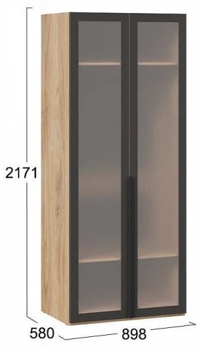 Шкаф платяной Порто СМ-393.07.009 в Талице - talica.ok-mebel.com | фото 2