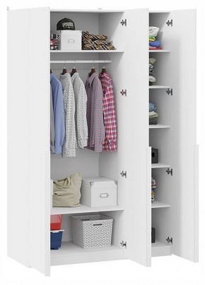 Шкаф платяной Порто СМ-393.07.112 в Талице - talica.ok-mebel.com | фото 3