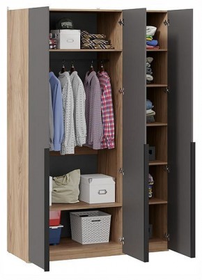 Шкаф платяной Порто СМ-393.07.113 в Талице - talica.ok-mebel.com | фото 2