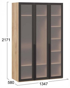Шкаф платяной Порто СМ-393.07.117 в Талице - talica.ok-mebel.com | фото 4