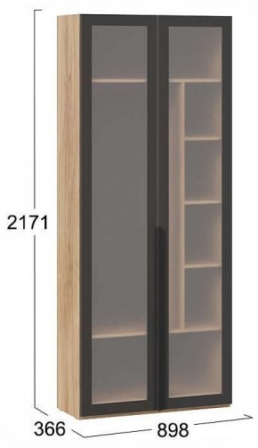 Шкаф платяной Порто СМ-393.07.226 в Талице - talica.ok-mebel.com | фото 4