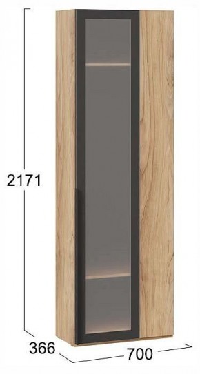 Шкаф платяной Порто СМ-393.07.233 в Талице - talica.ok-mebel.com | фото 3