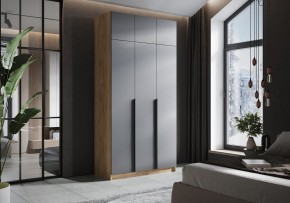 Шкаф платяной Широн в Талице - talica.ok-mebel.com | фото 4