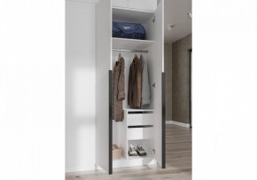 Шкаф платяной Широн в Талице - talica.ok-mebel.com | фото 3