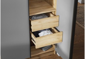 Шкаф платяной Широн в Талице - talica.ok-mebel.com | фото 3
