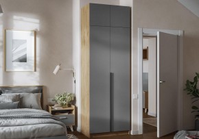 Шкаф платяной Широн в Талице - talica.ok-mebel.com | фото 4