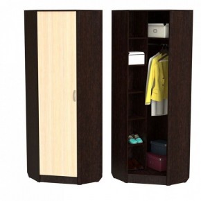 Шкаф платяной ШП-10 в Талице - talica.ok-mebel.com | фото 2