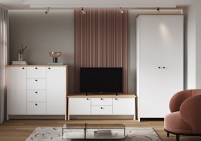 Шкаф платяной Теодора в Талице - talica.ok-mebel.com | фото 4