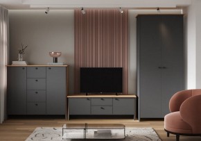 Шкаф платяной Теодора в Талице - talica.ok-mebel.com | фото 3