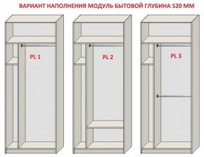 Шкаф распашной серия «ЗЕВС» (PL3/С1/PL2) Серый камень/Небраска натуральный в Талице - talica.ok-mebel.com | фото 5