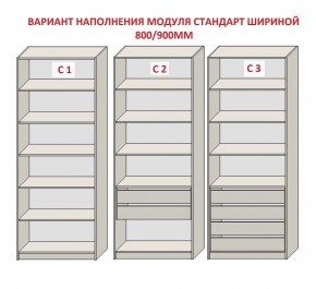 Шкаф распашной серия «ЗЕВС» (PL3/С1/PL2) Серый камень/Небраска натуральный в Талице - talica.ok-mebel.com | фото 6