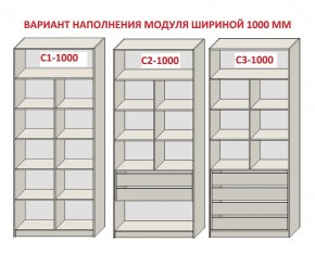 Шкаф распашной серия «ЗЕВС» (PL3/С1/PL2) Серый камень/Небраска натуральный в Талице - talica.ok-mebel.com | фото 7