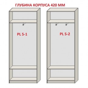 Шкаф распашной серия «ЗЕВС» (PL3/С1/PL2) Серый камень/Небраска натуральный в Талице - talica.ok-mebel.com | фото 8