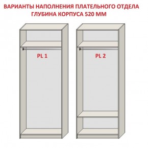 Шкаф распашной серия «ЗЕВС» (PL3/С1/PL2) Серый камень/Небраска натуральный в Талице - talica.ok-mebel.com | фото 9