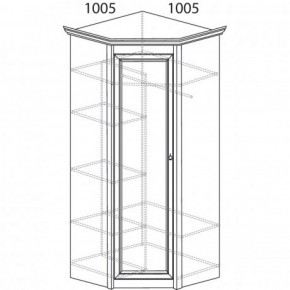 Шкаф угловой №662 "Флоренция" Фасад глухой (угол 1005*1005) Дуб оксфорд в Талице - talica.ok-mebel.com | фото 3