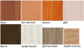 Шкаф вытяжной "Лицей" (Лц.ШКВ) в Талице - talica.ok-mebel.com | фото 2