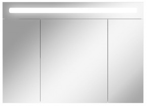 Шкаф-зеркало Аврора 100 с подсветкой LED Домино (DV8012HZ) в Талице - talica.ok-mebel.com | фото 1