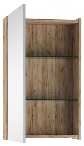 Шкаф-зеркало Craft 45 левый/правый Домино (DCr2211HZ) в Талице - talica.ok-mebel.com | фото 2