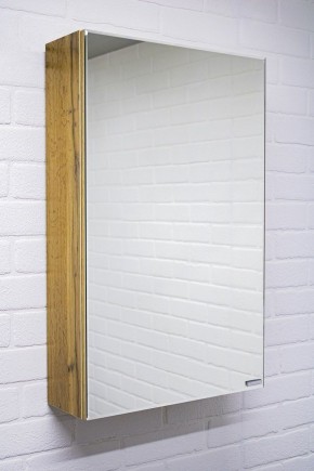 Шкаф-зеркало Craft 45 левый/правый Домино (DCr2211HZ) в Талице - talica.ok-mebel.com | фото 4