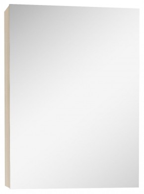 Шкаф-зеркало Мечта 40 Дуб сонома АЙСБЕРГ (DM2317HZ) в Талице - talica.ok-mebel.com | фото 1
