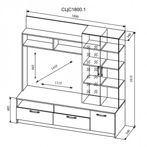 СОФИ Гостиная (модульная) дуб сонома/белый глянец в Талице - talica.ok-mebel.com | фото 9