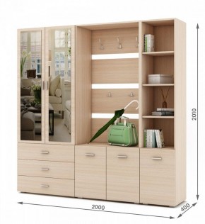 Стенка для прихожей Мартин-3 в Талице - talica.ok-mebel.com | фото 2