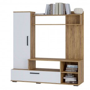 Гостиная Евро 2 (крафт/белый) в Талице - talica.ok-mebel.com | фото 3