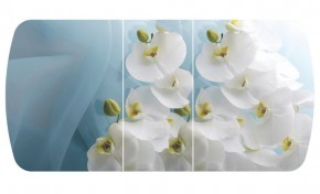 Стол Бостон-3 (Белая Орхидея) 1100/1420*700, опора Брифинг в Талице - talica.ok-mebel.com | фото 2
