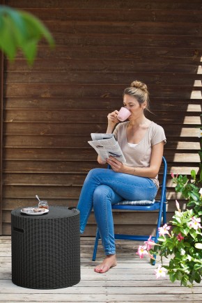 Столик-холодильник Кул-Стул (Cool stool) графит в Талице - talica.ok-mebel.com | фото