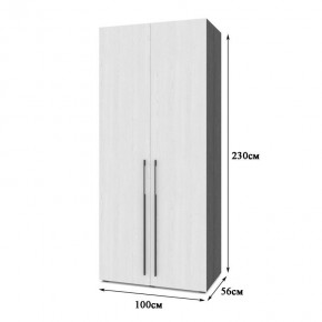СТОУН С22 Шкаф 2-х створчатый (золотой дуб/графит) в Талице - talica.ok-mebel.com | фото 2