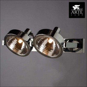 Светильник на штанге Arte Lamp Faccia A4507PL-2CC в Талице - talica.ok-mebel.com | фото 3