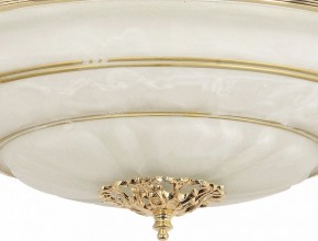 Светильник на штанге Arti Lampadari Pavia Pavia E 1.13.P40 G в Талице - talica.ok-mebel.com | фото 3