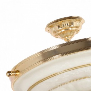 Светильник на штанге Arti Lampadari Pavia Pavia E 1.13.P40 G в Талице - talica.ok-mebel.com | фото 4