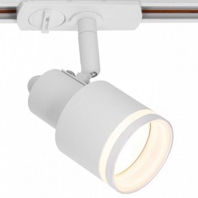 Светильник на штанге Citilux Bruno CL565T10 в Талице - talica.ok-mebel.com | фото 2