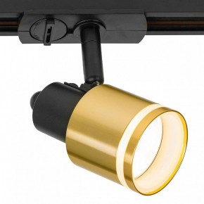 Светильник на штанге Citilux Bruno CL565T14 в Талице - talica.ok-mebel.com | фото 4