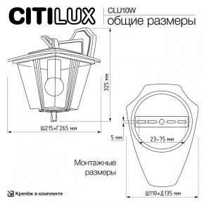 Светильник на штанге Citilux FORTS CLU10W в Талице - talica.ok-mebel.com | фото 9