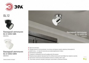 Светильник на штанге Эра OL12 GX53 CH Б0049030 в Талице - talica.ok-mebel.com | фото 3