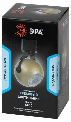 Светильник на штанге Эра  TR35-GU10 MG в Талице - talica.ok-mebel.com | фото 4