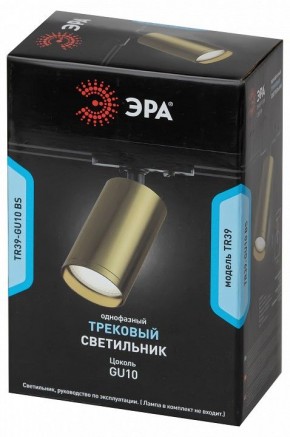 Светильник на штанге Эра  TR39-GU10 BS в Талице - talica.ok-mebel.com | фото 4