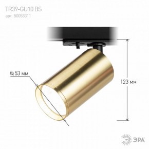 Светильник на штанге Эра  TR39-GU10 BS в Талице - talica.ok-mebel.com | фото 6