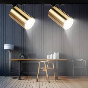 Светильник на штанге Эра  TR39-GU10 BS в Талице - talica.ok-mebel.com | фото 7