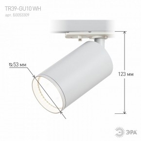 Светильник на штанге Эра  TR39-GU10 WH в Талице - talica.ok-mebel.com | фото 7