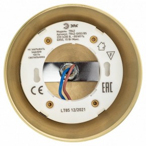 Светильник на штанге Эра  TR42-GX53 BS в Талице - talica.ok-mebel.com | фото 5