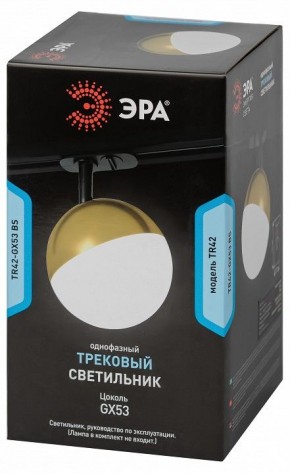 Светильник на штанге Эра  TR42-GX53 BS в Талице - talica.ok-mebel.com | фото 6