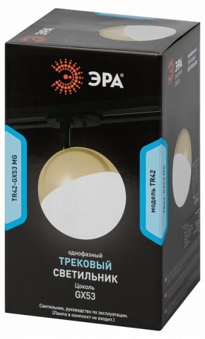 Светильник на штанге Эра  TR42-GX53 MG в Талице - talica.ok-mebel.com | фото 6