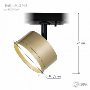 Светильник на штанге Эра  TR48 - GX53 MG в Талице - talica.ok-mebel.com | фото 4