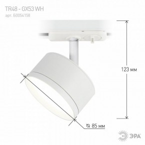 Светильник на штанге Эра  TR48 - GX53 WH в Талице - talica.ok-mebel.com | фото 4