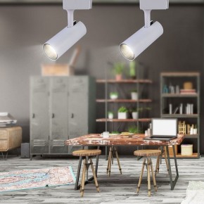 Светильник на штанге Эра  TR5-20 COB WH в Талице - talica.ok-mebel.com | фото 4